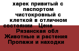 харек привитый с паспортом чистокровный с клеткой в отличном состоянии › Цена ­ 3 000 - Рязанская обл. Животные и растения » Пропажи и находки   